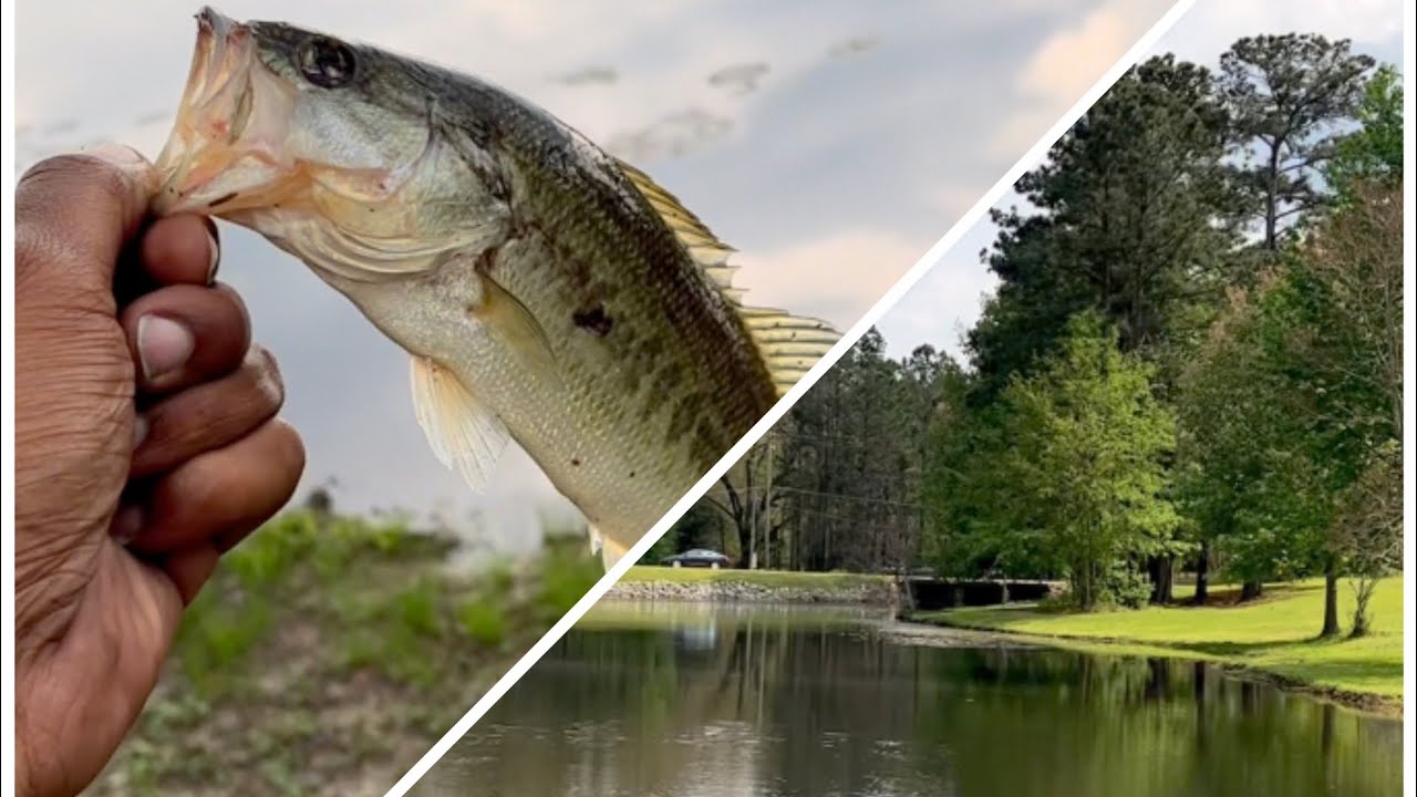 The Absolute BEST FISHING Day to Start Off The Beginning Of Spring