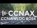 CCNA #084: MPLS Part 1: MPLS Terms for the CCNA Exam (P, PE, CE, LSR, LSP, Label)