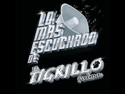 El Tigrillo Palma - El Guero Pesado