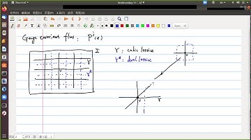 Introduction to Loop Quantum Gravity (圈量子引力) 18：Holonomy and Flux 4
