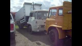 BEDFORD TK  BEST 2  IN ALL ENGLAND