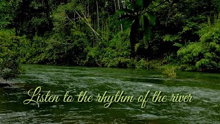 Relaxing River Sound|5 minutes relaxing water flow sound