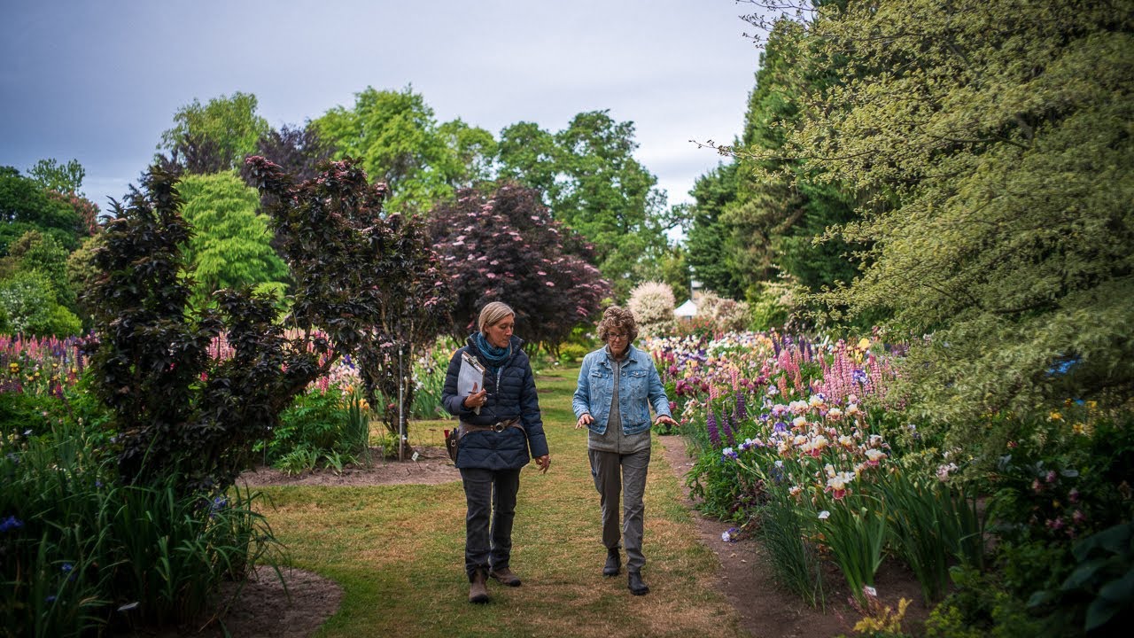 Iris Food - 4 Pounds | Fertilizing Irises – Schreiner's Gardens