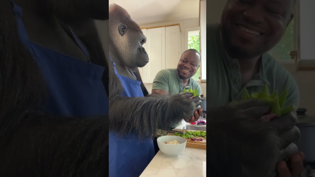 Just two chefs in the kitchen… one of them skipped culinary school 🦍🍲