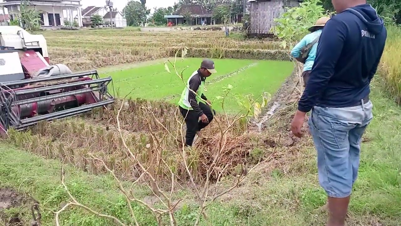 GAWEKKE DALAN MUNGGAH BOLO , SOALE GALENGE DUWUR ,WEDI COMBINE JUNGKEL