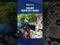 팔공산 '굿판' '기도터'‥수십 년간 '불법'에 철거 하세월? #Shorts (MBC뉴스)