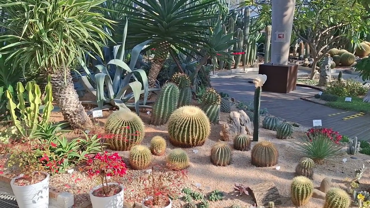 호수공원에서 외발자전거 타고 뛰다가 추우면 선인장식물원에서 몸을 녹이면 일석사조