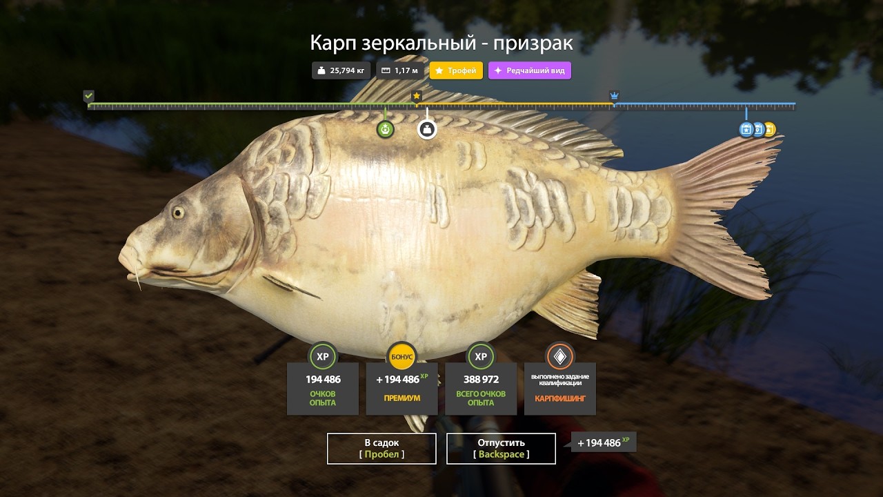 Фарм серебра на Янтарке. Русская рыбалка 4. РР 4.