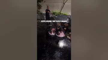 Here’s a video for everyone yelling “alpha male bootcamp” 😂