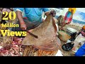 Stingray & Ribbon Fish Cutting & Chopping In Kasimedu Fish Market