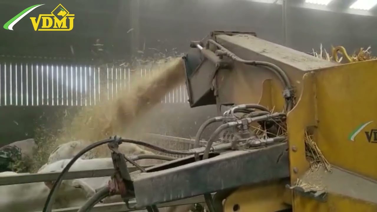 Bedding the Belgian Blues with our VDMJ TSB-260V strawblower 🐮🌾 - VDMJ Machinery