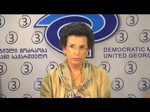 ნინო ბურჯანაძის ბრიფინგი