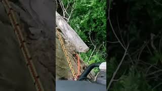 Bad to the bone! #treework #arborist #chainsaw