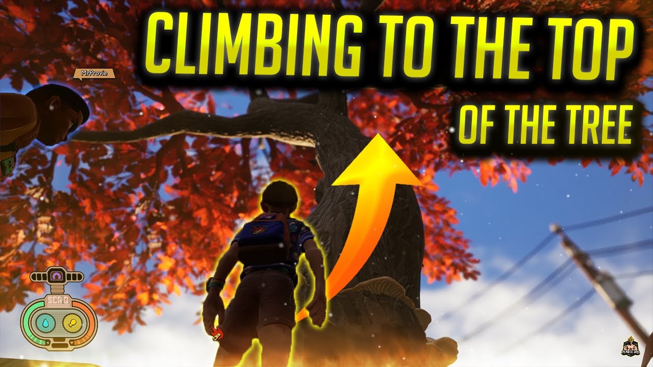 TOP of the TREE; GROUNDED YouTube