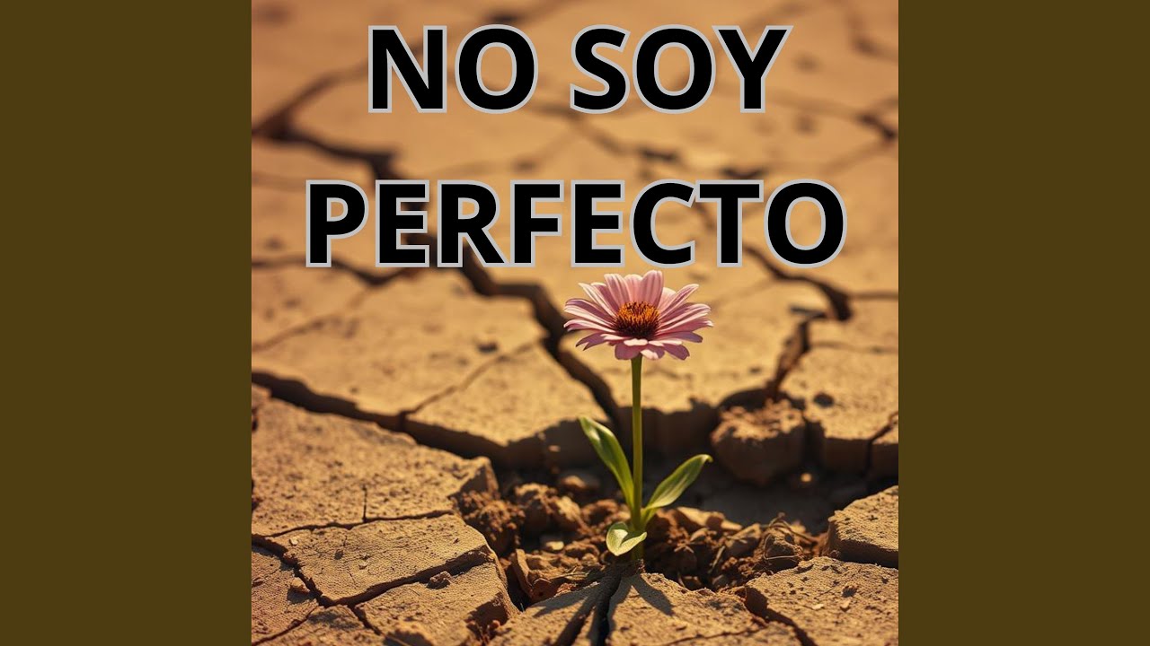 NO SOY PERFECTO