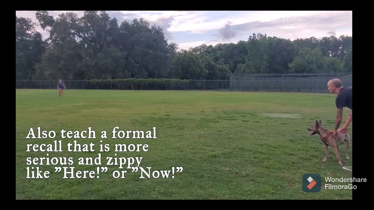 Coming When Called tips