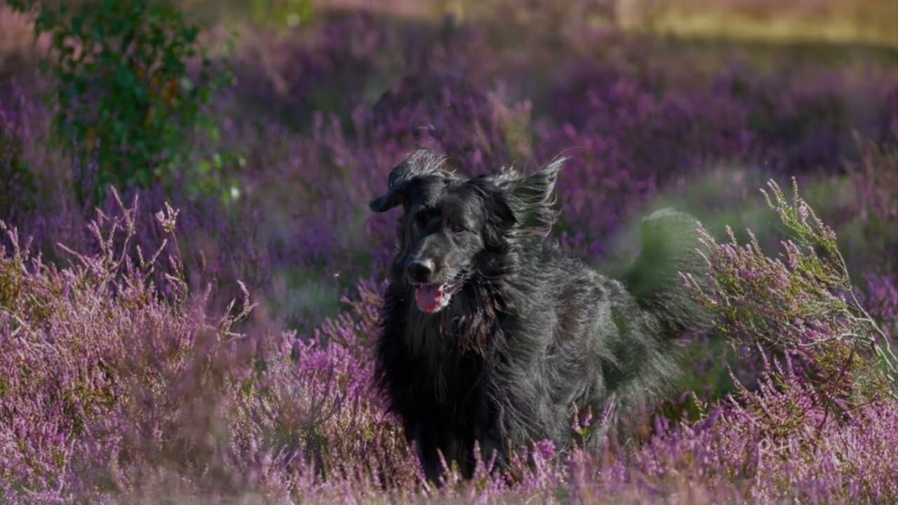 Letzter gemeinsamer Weg…..
