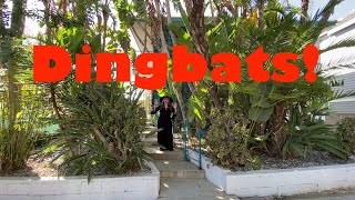 "Dingbats!" by Morteville