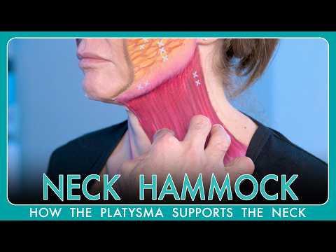 The Hidden Support System Behind A Natural Facelift