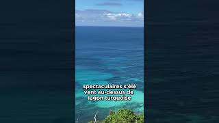 L’île Lord Howe : Chef - Dœuvre Géologique Entre Ciel Et Mer 🏞️🌊 Resimi