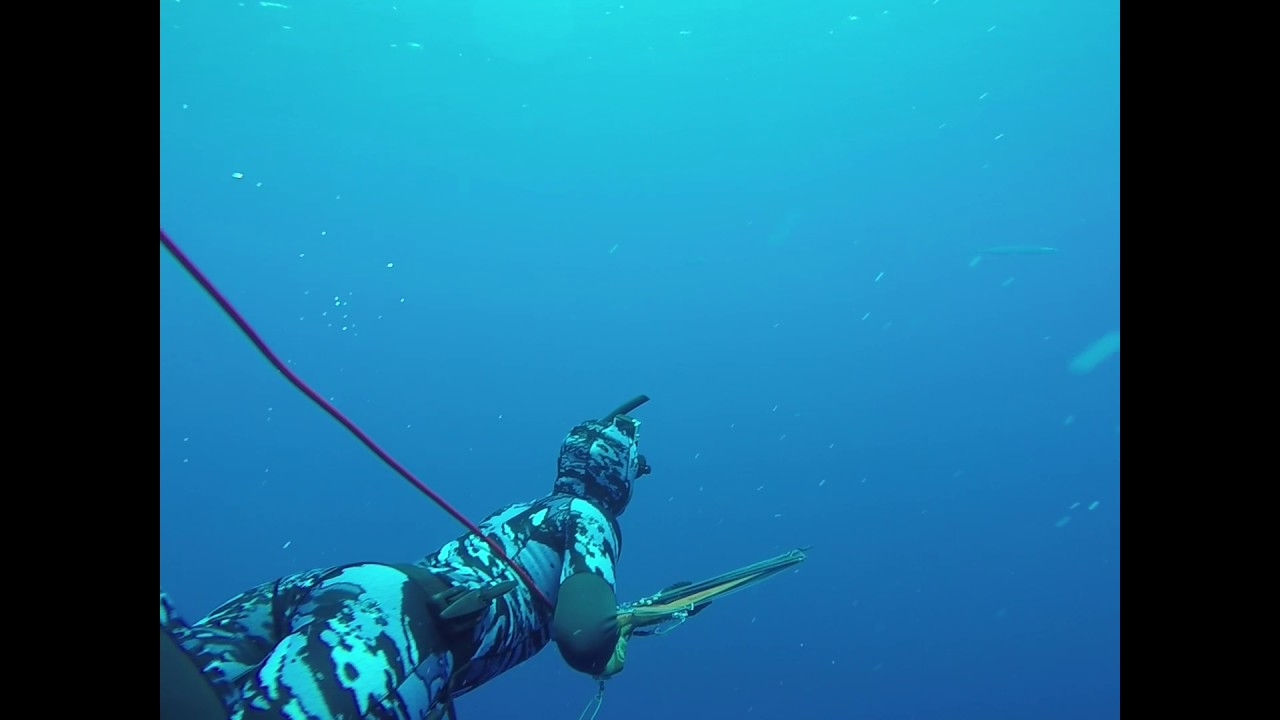 Spearfishing Madagascar- Castor Bank bluewater hunting