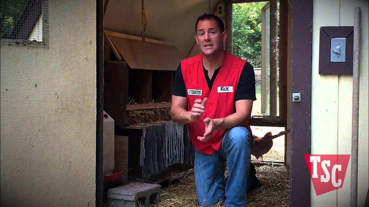 How to Choose a Chicken Coop Tractor Supply Co. YouTube