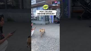 POV: 스위스에서 야생여우를 마주친다면? #스위스여행 #스위스브이로그 나다운순간은 여행할 때! #LG유플러스 #유튜브 #유쓰쇼츠페스티벌 #Simplyme
