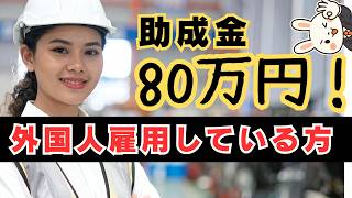 【最大80万円】外国人雇用で使える助成金とは？技能実習生も対象！| 農業・建設・飲食向け