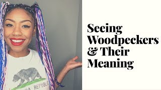 Seeing Woodpeckers Their Meaning