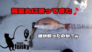 【釣り】高知の遊漁船　海星丸に乗ってきた🎵