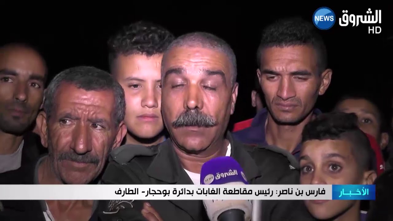 أسد ولبؤة يتجولان في منطقة جنان الكردي ببلدية الكرمة     وهلع لدى السكان بالطارف