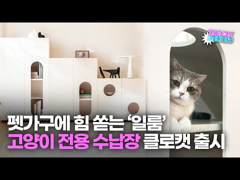 오로지 고양이만을 위한 수납장... 일룸에서 출시한 &amp;#39;캐스터네츠&amp;#39; 신제품