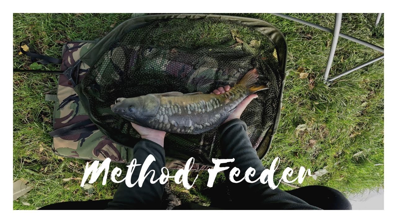 Pescuit la method feeder !