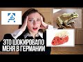 Культурный ШОК в Германии || 7 вещей, которые меня поразили