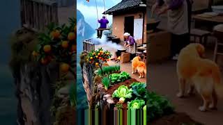 Village Mountain Life #shorts#shortsfeed#viralvideo #trending