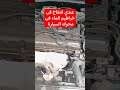 انتفاخ في خراطيم الماء في محرك السيارة هبلتني Car Automobile Foryou Cars F Vwgolf 2 0 Fyp