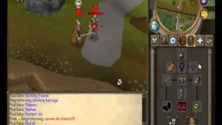 RuneSpirit best 525 spawn server in world
