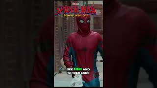 Spider Man & Hulk Team Up  Epic Showdown on the Big Screen!