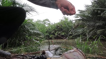 Bãi câu cá sông Sài Gòn gần Đa Phước ✅