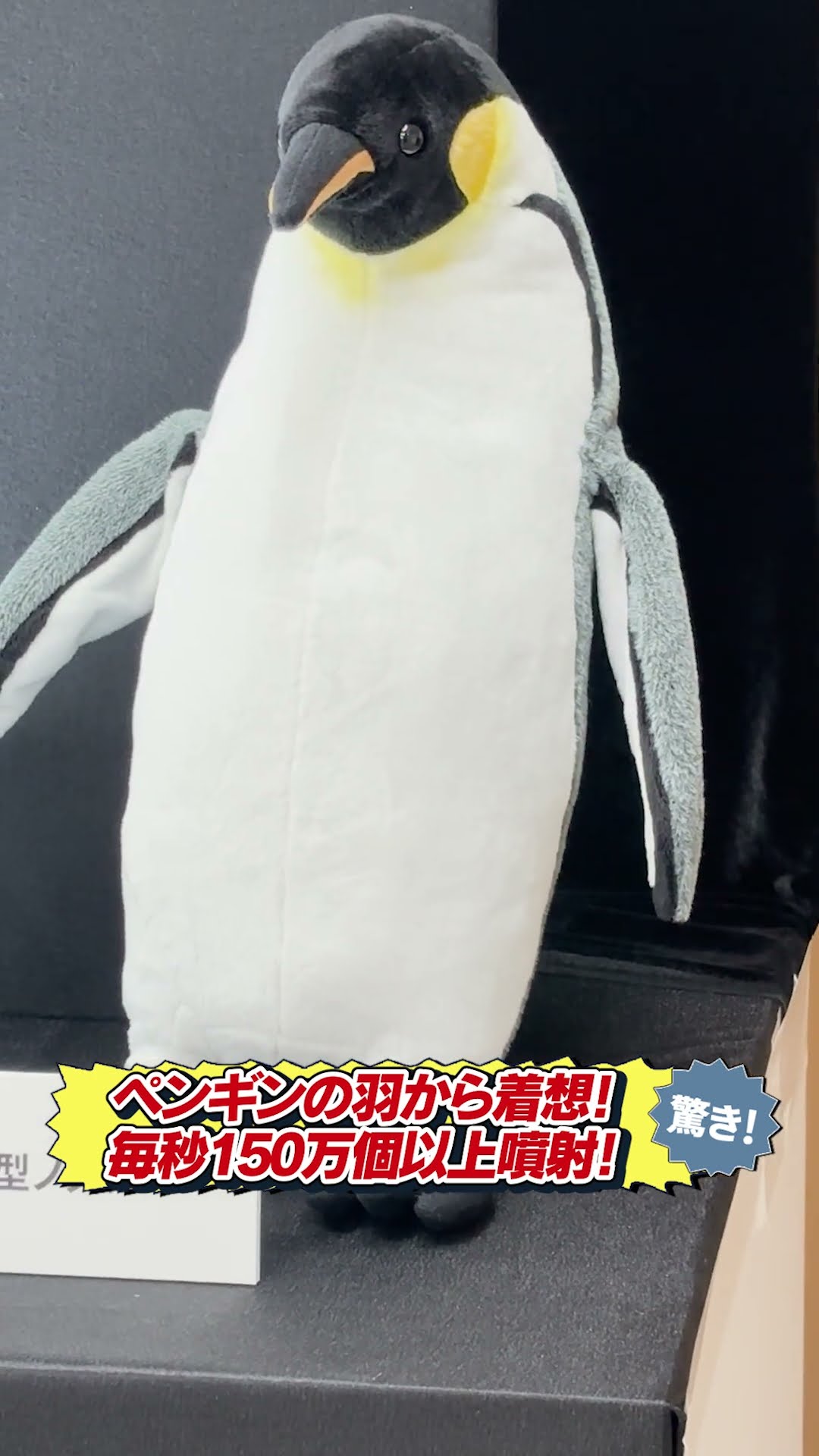ペンギン 2026 SHARP New Product] Launching the 