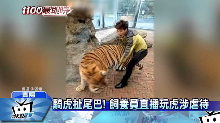 20170216中天新聞　騎虎扯尾巴！　飼養員直播玩虎涉虐待