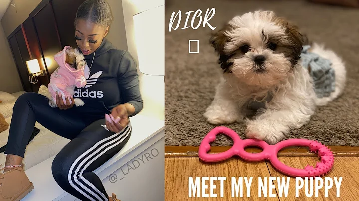 I GOT A PUPPY!! First 24 HOURS DREAM TEDDY BEAR! Premier Pups