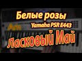 Белые розы. Аккорды. Yamaha PSR E443