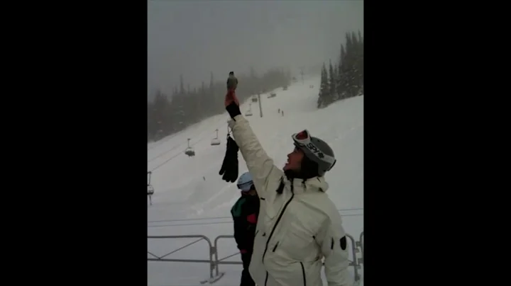 The Friendly Grey Jay aka Whisky Jack