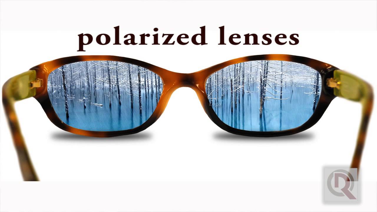 Rochester Optical's Eye University - Polarized Glasses