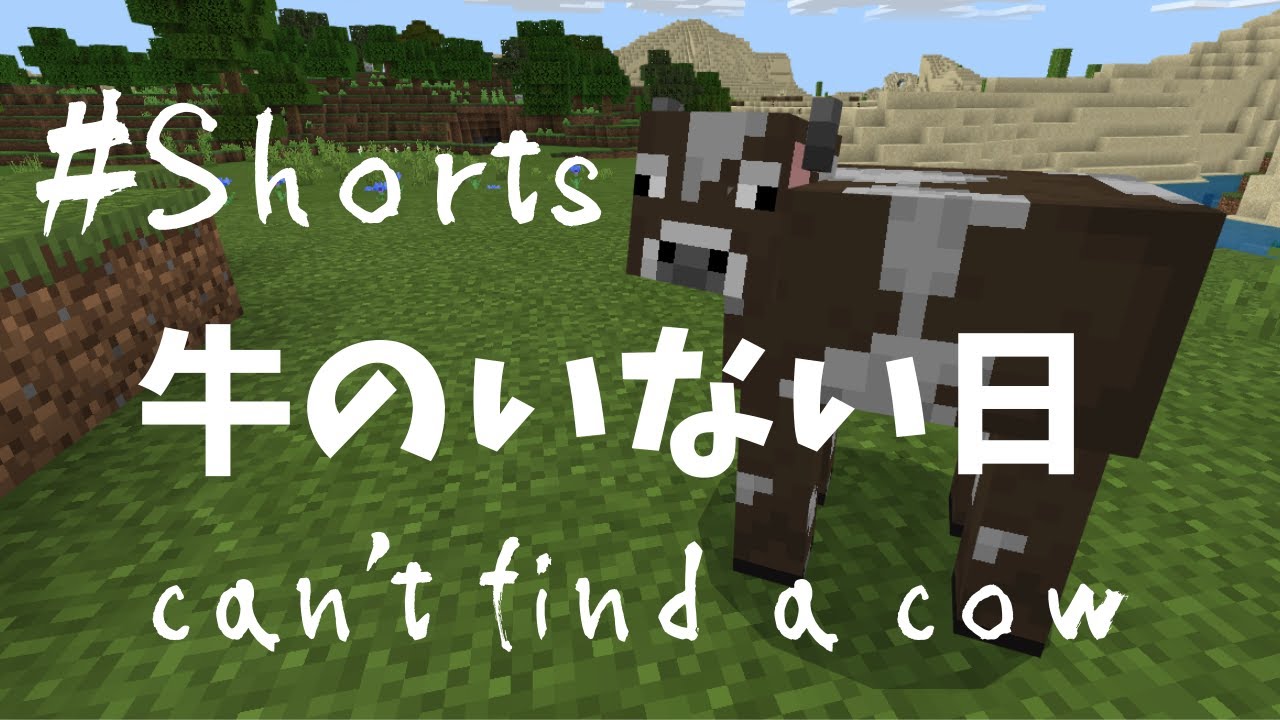 マイクラ こんなにも牛が見つからない事あります Shorts ま くのマインクラフト実況 Youtube