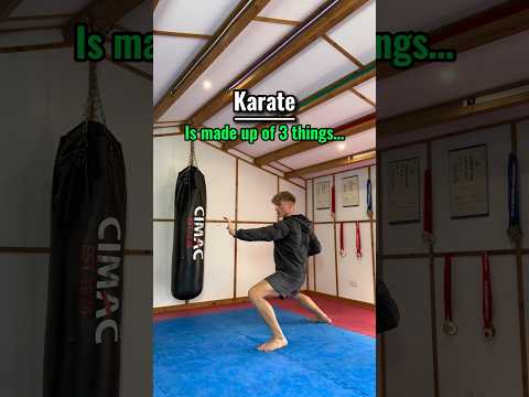 Wideo: Czy powinienem ćwiczyć karate czy kung fu?