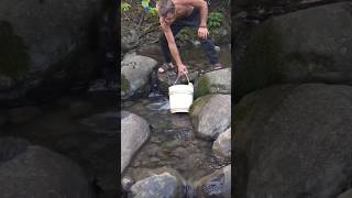 Джерельна водичка із серця Карпат🏞