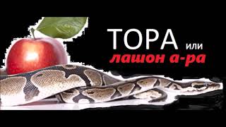 Злословие (лашон ара). От мысли — до реализации. Злословие (лашон ара). От мысли — до реализации.