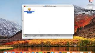 How To Install MySQL Server On mac